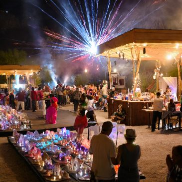 Gem Mineral Shows February 2025