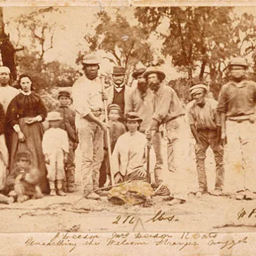 The Welcome Stranger